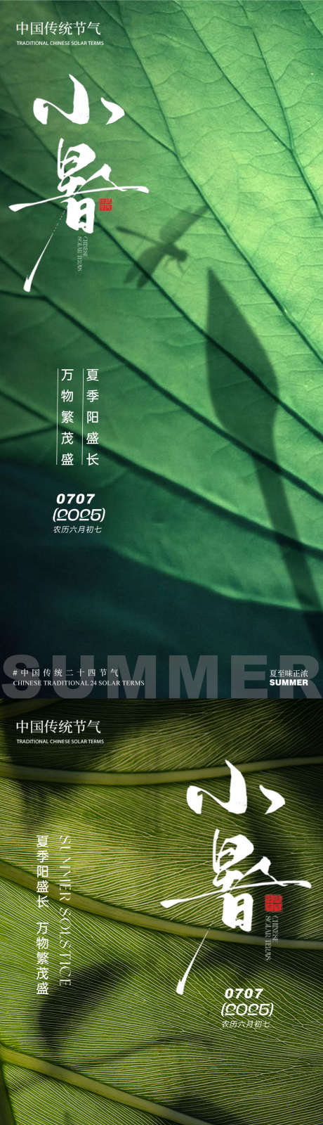 小暑荷叶荷花影子蜻蜓简约清新夏季系列_源文件下载_PSD格式_1200X5182像素-夏季,清新,简约-作品编号:2025062716519219-志设-zs9.com