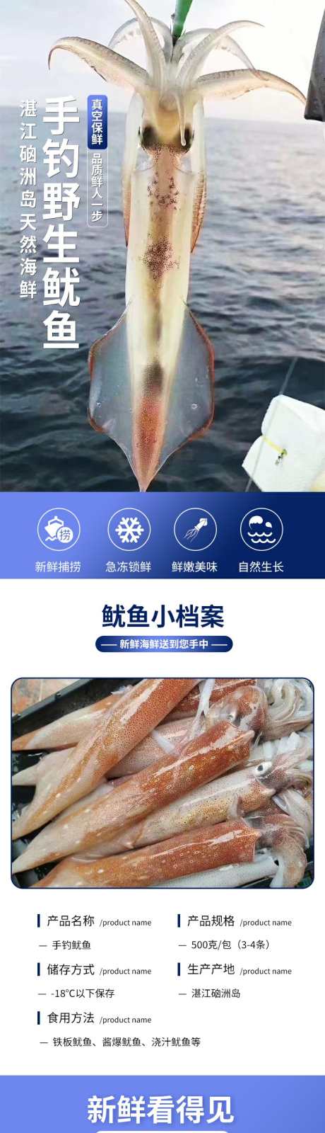 海鲜水产手钓野生鱿鱼详情页_源文件下载_PSD格式_790X12479像素-产地直供,营养美味,肉质鲜嫩-作品编号:2025062809026335-志设-zs9.com