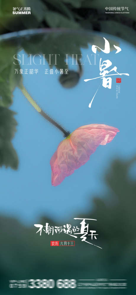 小暑夏天花卉简约倒影傍晚_源文件下载_PSD格式_1080X2340像素-倒影,花卉,简约-作品编号:2025062713525272-志设-zs9.com