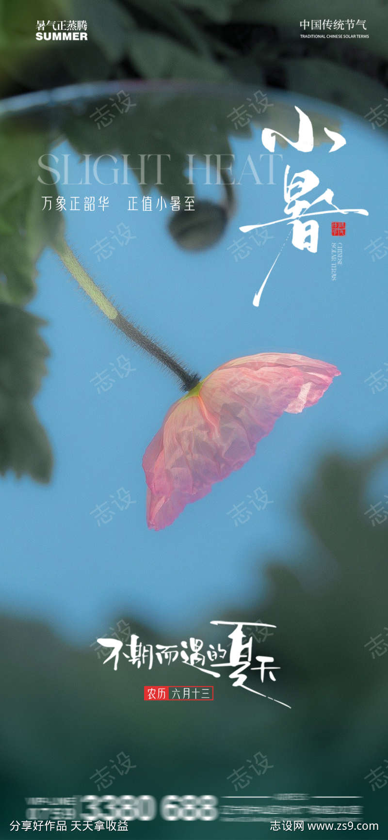 小暑夏天花卉简约倒影傍晚