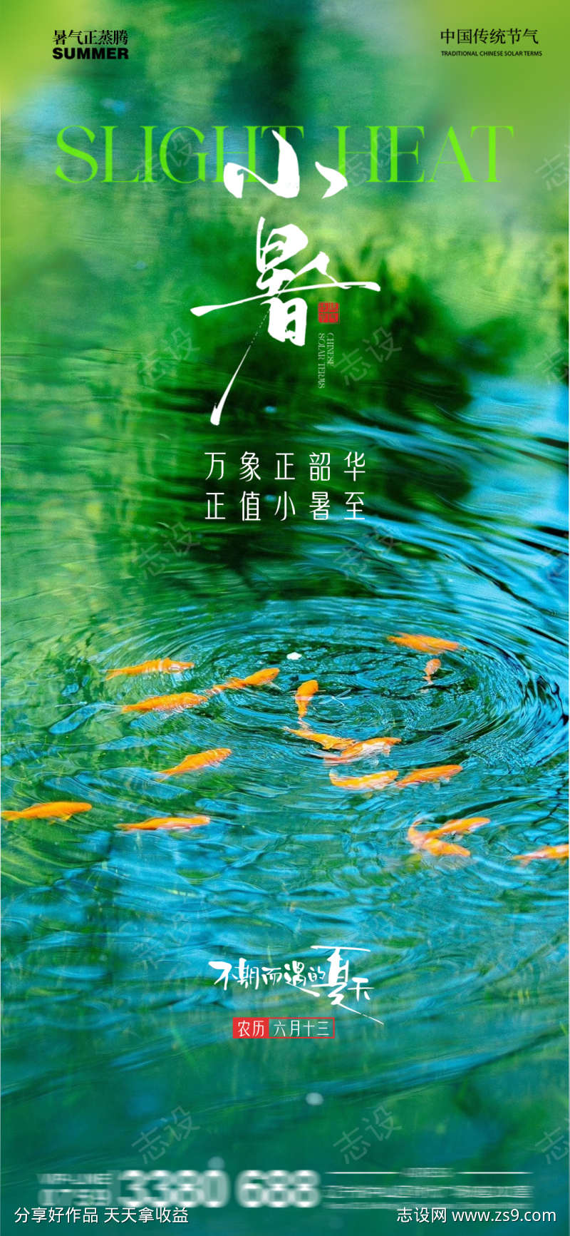 小暑池塘金鱼水池倒影夏天清新