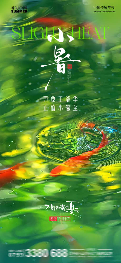小暑池塘金鱼水池清新_源文件下载_PSD格式_1080X2340像素-夏天,倒影,水池-作品编号:2025062714009155-志设-zs9.com