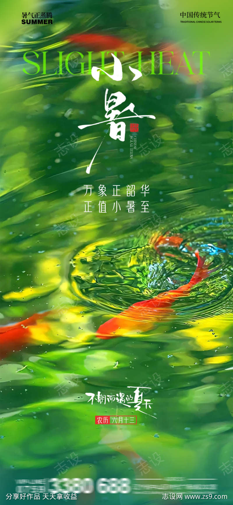 小暑池塘金鱼水池清新