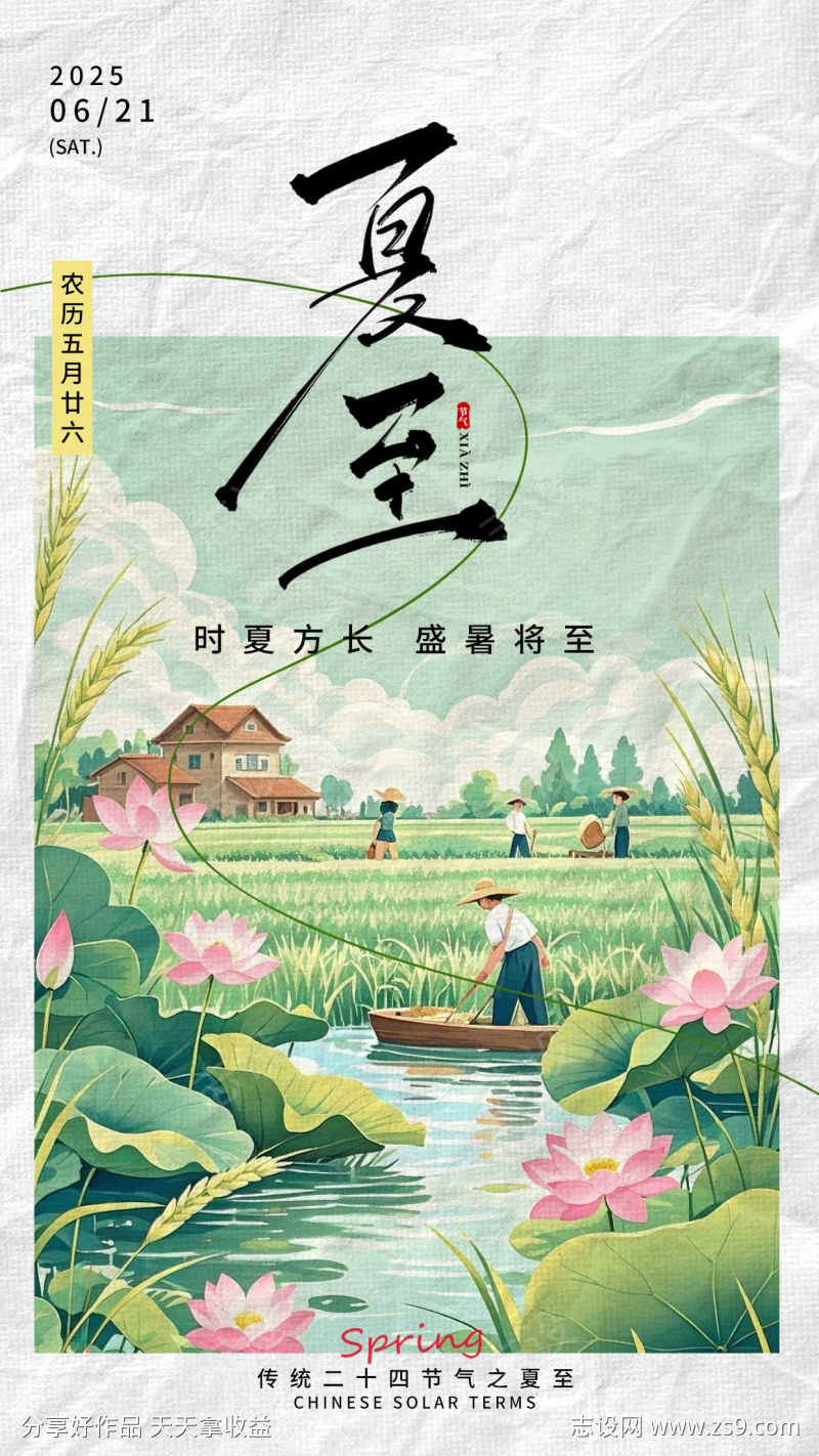 夏至节气海报