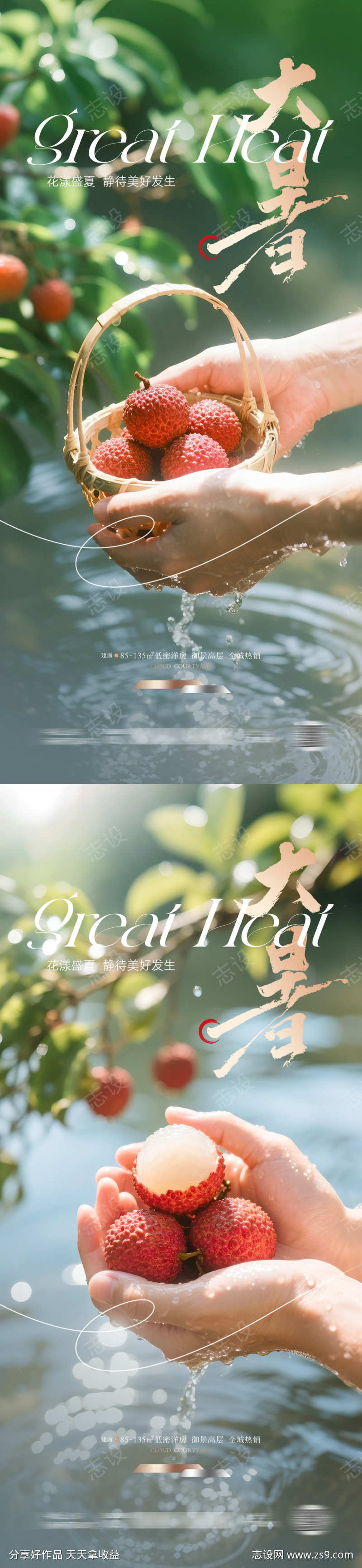 大暑节气荔枝海报