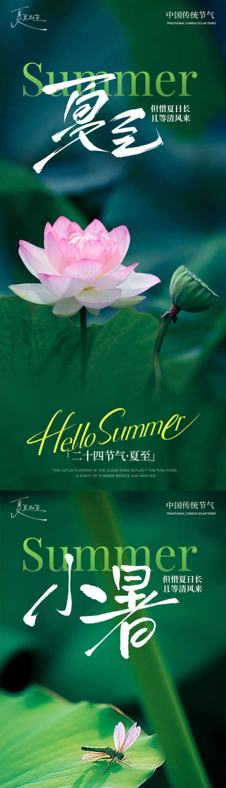 小暑大暑夏至荷花荷叶蜻蜓池塘夏季清新蓝天_源文件下载_PSD格式_1242X5376像素-莲蓬,简约,阳光-作品编号:2025062914109877-志设-zs9.com