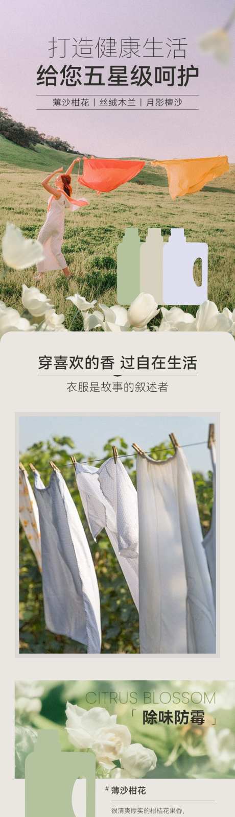 洗衣液详情页_源文件下载_PSD格式_800X11200像素-详情页,洗衣液,洗护-作品编号:2025062914367911-志设-zs9.com