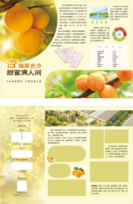 杏子宣传折页_源文件下载_PSD格式_2000X3079像素-三折页,企业,杏子-作品编号:2025062914321315-志设-zs9.com