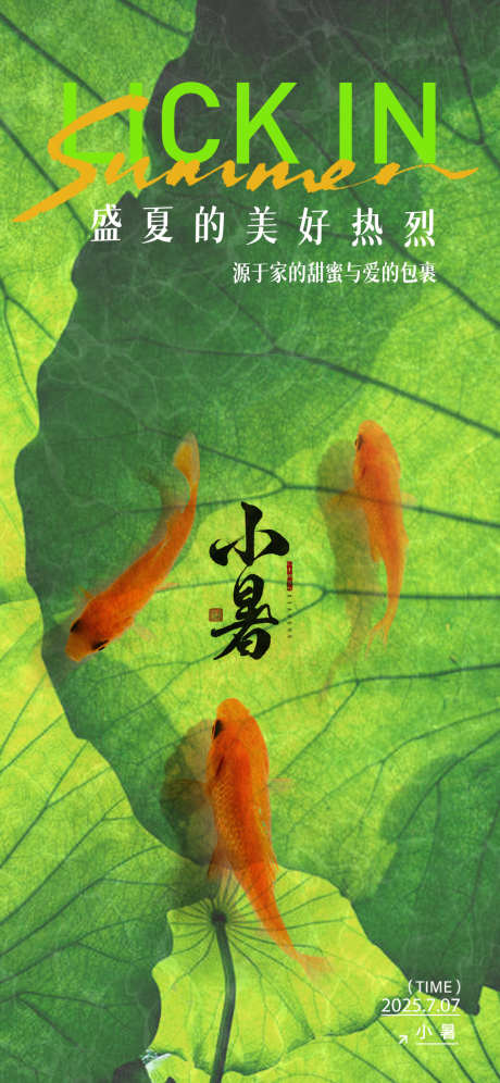 二十四节气小暑_源文件下载_PSD格式_1125X2436像素-金鱼,荷叶,小暑-作品编号:2025063014196707-志设-zs9.com