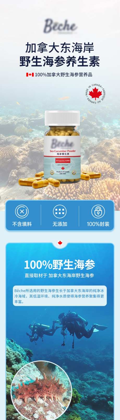 保健品详情页_源文件下载_PSD格式_790X12197像素-海参,保养,保健品-作品编号:2025063010173214-志设-zs9.com