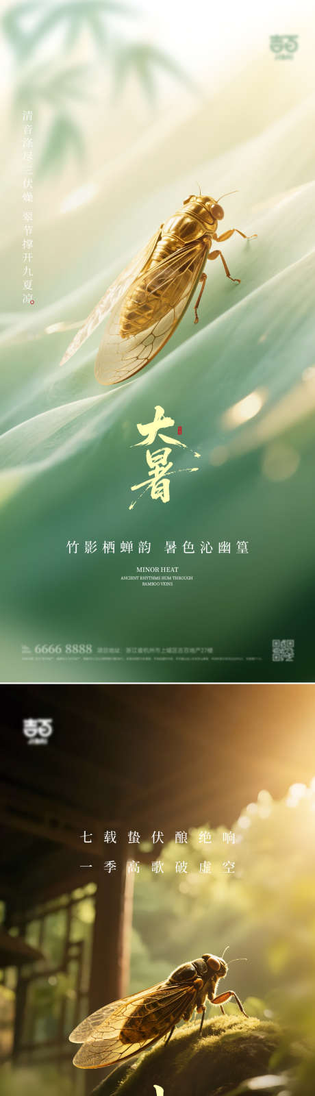 大暑小暑节气海报_源文件下载_AI,PSD格式_1920X4158像素-知了,蝉,二十四节气-作品编号:2025063016591042-志设-zs9.com
