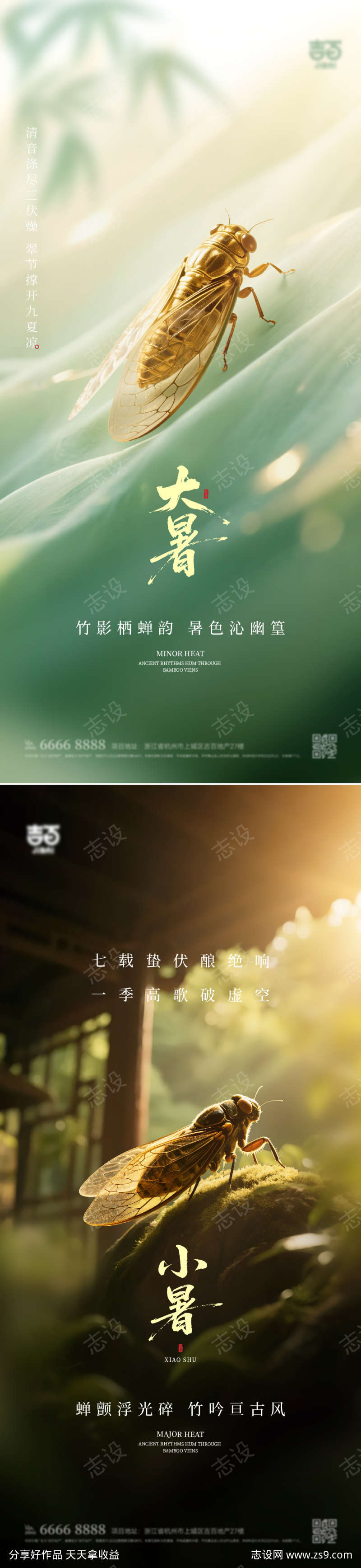 大暑小暑节气海报