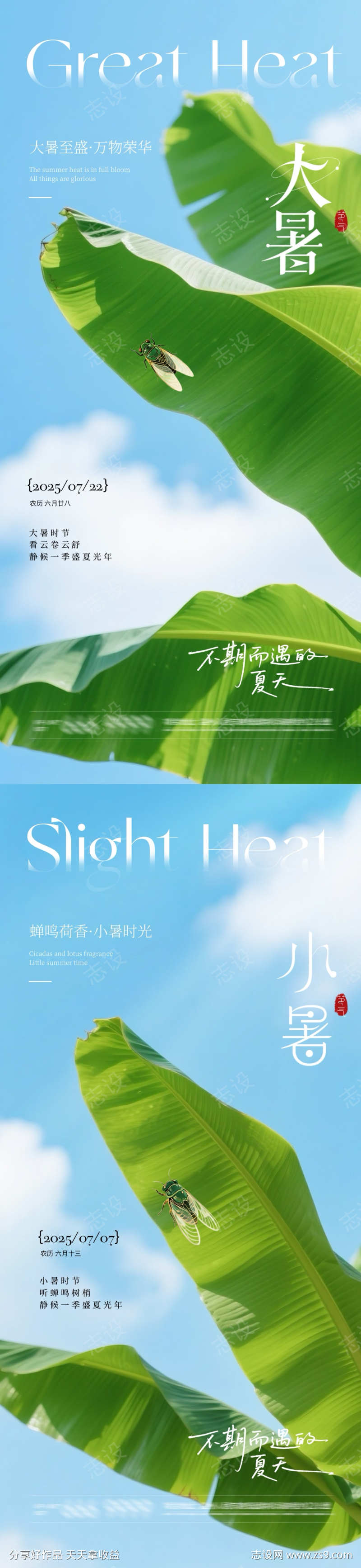 地产大暑小暑芭蕉叶系列海报