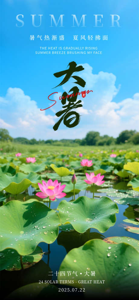 夏日荷花大暑节气海报_源文件下载_PSD格式_1080X2327像素-大暑,夏日,夏天-作品编号:2025070211207406-志设-zs9.com