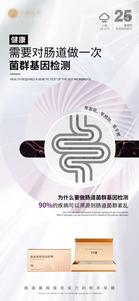 肠道菌群宣传海报_源文件下载_PSD格式_1080X2340像素-检测,肠道,健康-作品编号:2025070309318475-志˙设.网