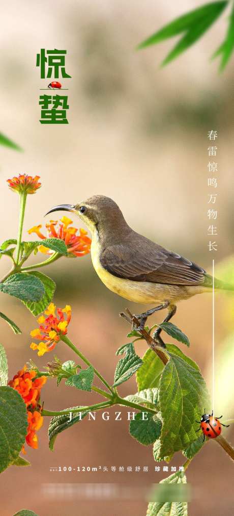 惊蛰节气海报_源文件下载_PSD格式_1000X2200像素-海报,惊蛰,春天-作品编号:2025070214121700-志设-zs9.com
