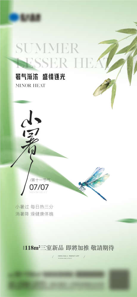 小暑节气海报_源文件下载_AI,PSD格式_1418X3071像素-知了,蝉,竹林-作品编号:2025070321249767-志设-zs9.com