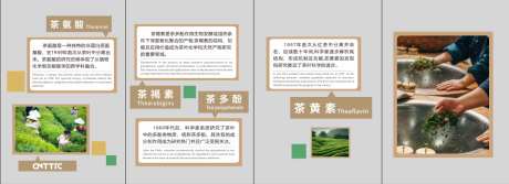 茶叶中物质的作用_源文件下载_CDR格式_1126X410像素-茶褐素,茶黄素,茶氨酸-作品编号:2025070316368679-志设-zs9.com