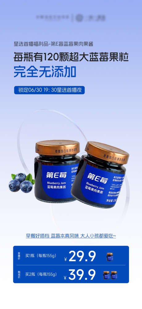 蓝莓果酱产品价格海报_源文件下载_PSD格式_1125X2436像素-高级,价格,产品-作品编号:2025070316486206-志设-zs9.com