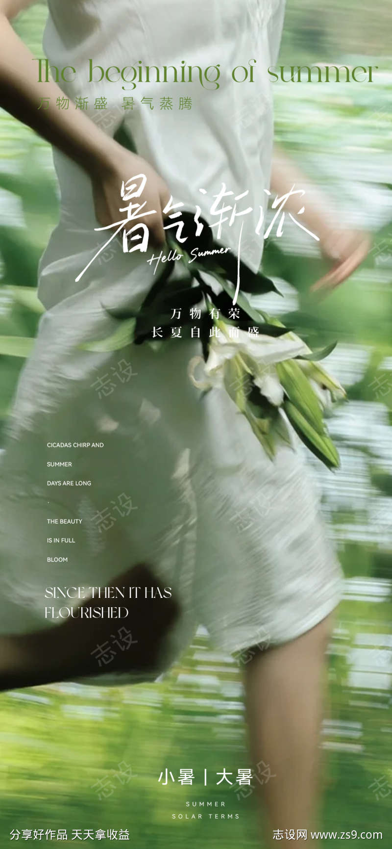 小暑大暑节气海报