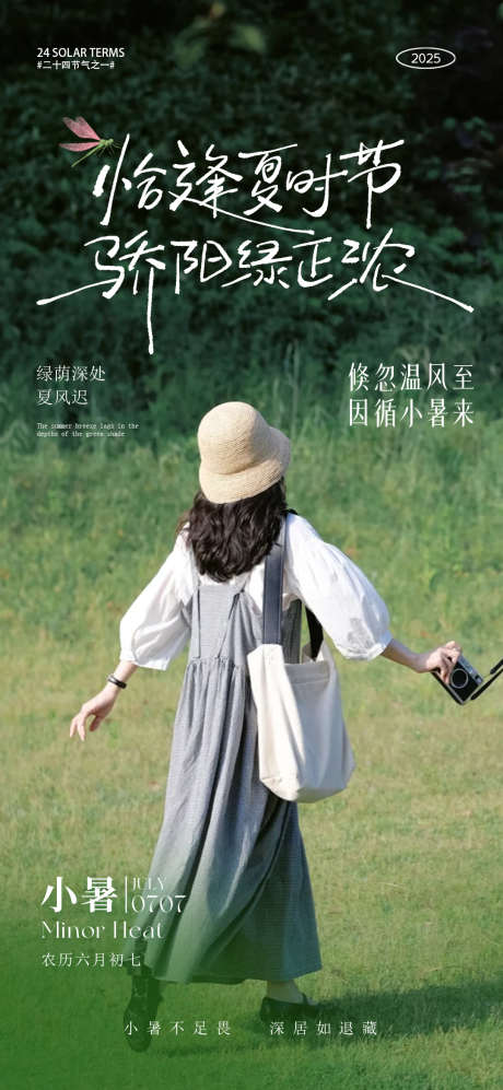 小暑大暑节气海报_源文件下载_PSD格式_1080X2340像素-海报,节气,大暑-作品编号:2025070510141995-志设-zs9.com