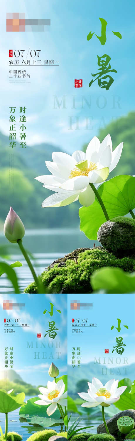 小暑荷叶荷花节气海报_源文件下载_PSD格式_1242X4036像素-荷花,荷叶,夏季-作品编号:2025070510369377-志设-zs9.com
