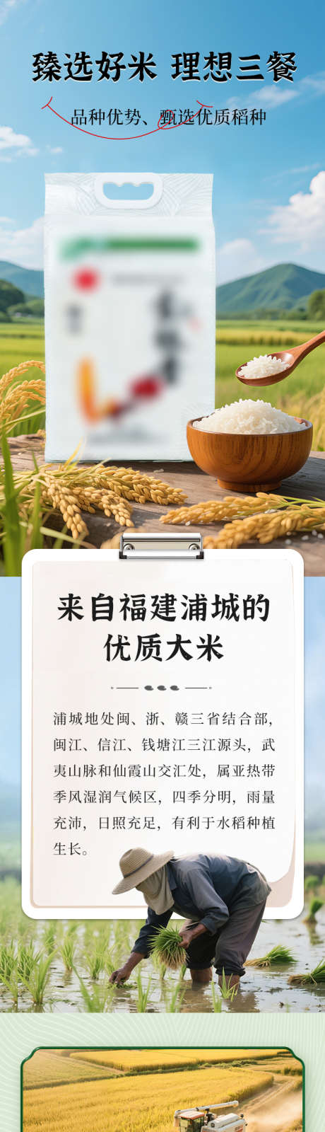 大米详情页_源文件下载_PSD格式_750X10249像素-农产品,粮食,食品-作品编号:2025070609328232-志设-zs9.com