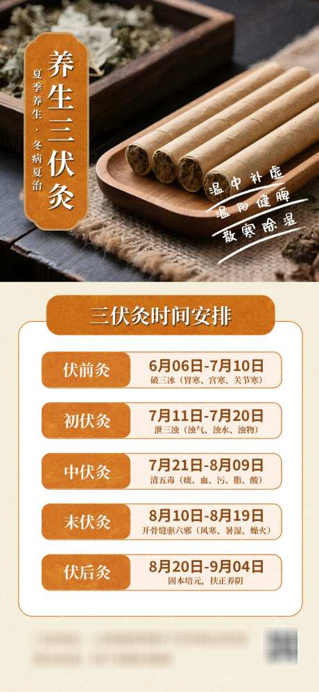 养生三伏灸时间安排_源文件下载_PSD格式_1242X2688像素-活动,知识,冬病夏治-作品编号:2025070416091209-志设-zs9.com