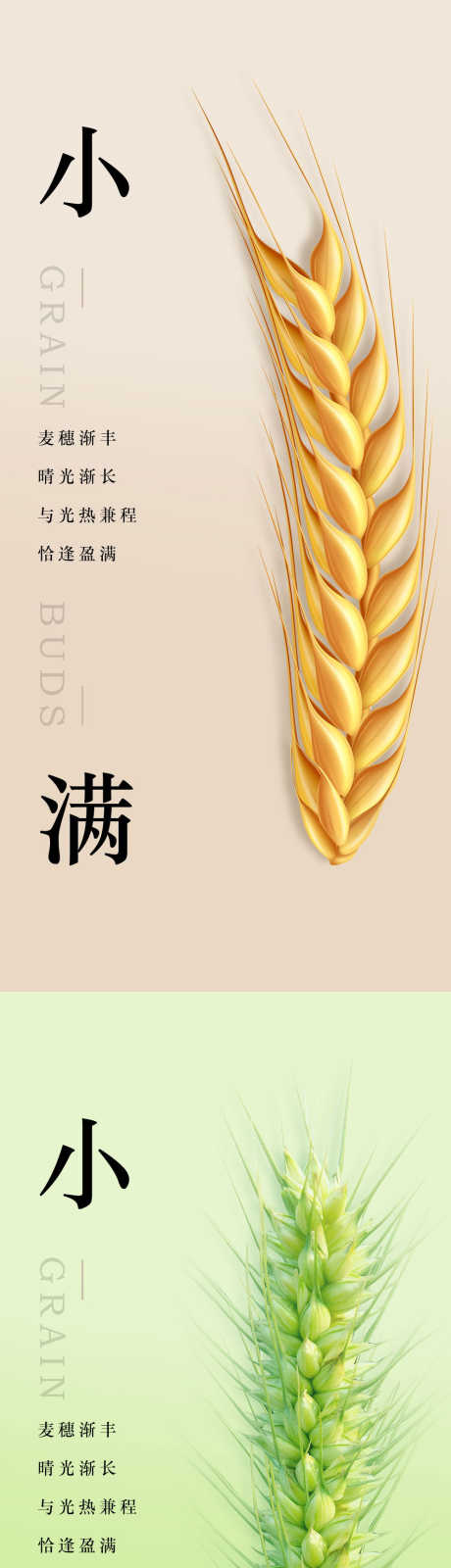 小满节气海报_源文件下载_PSD格式_1000X2200像素-朋友圈图,微信,节气图-作品编号:2025070613466756-志设-zs9.com