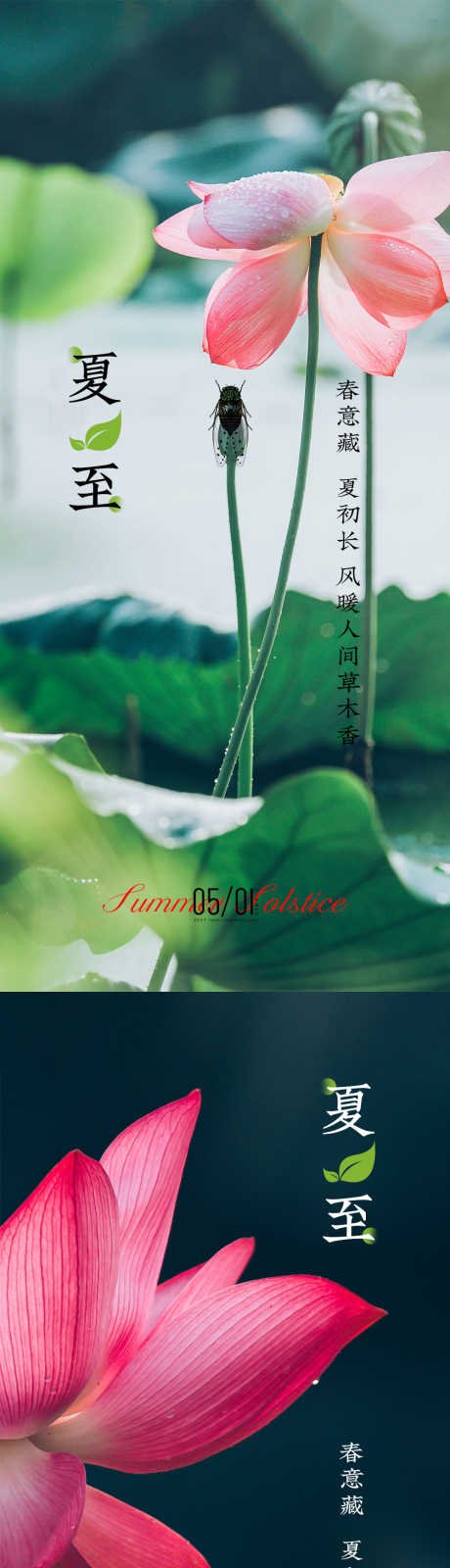 夏至节气海报_源文件下载_PSD格式_1000X2200像素-字体,二十四节气,节气-作品编号:2025070810425459-志设-zs9.com