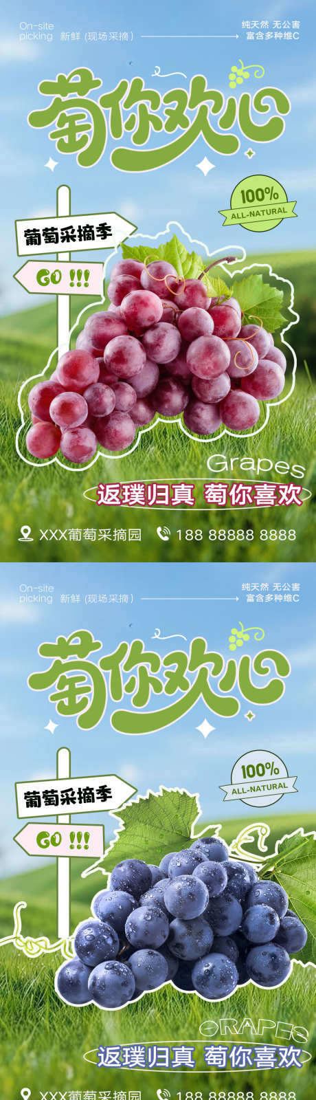水果葡萄海报_源文件下载_PSD格式_1080X1920像素-宣传,葡萄,海报-作品编号:2025070709514664-志设