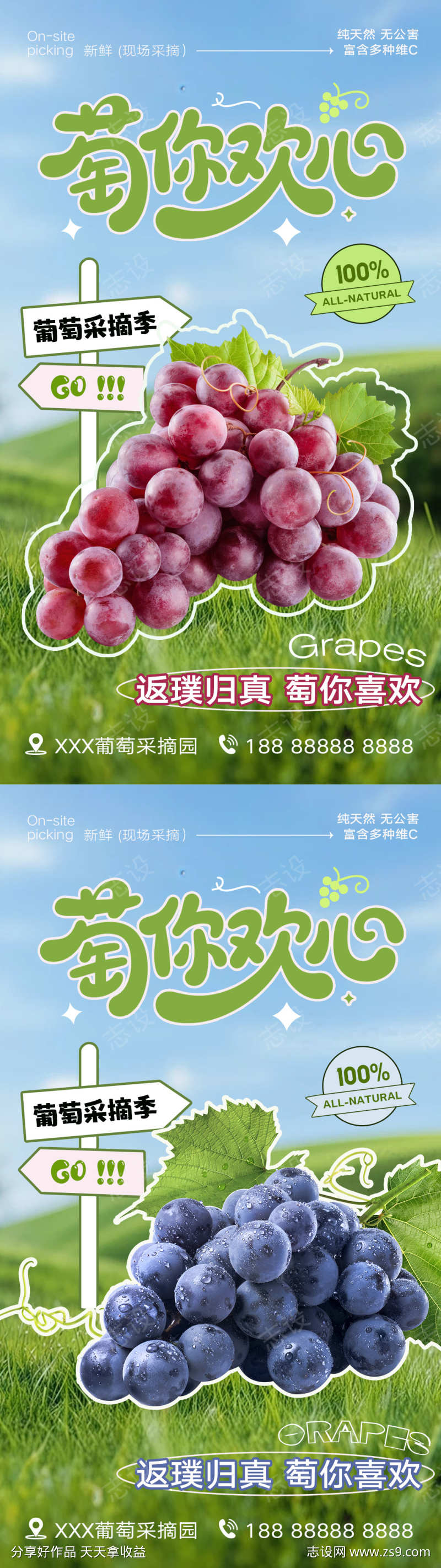 水果葡萄海报