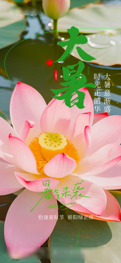 大暑节气海报