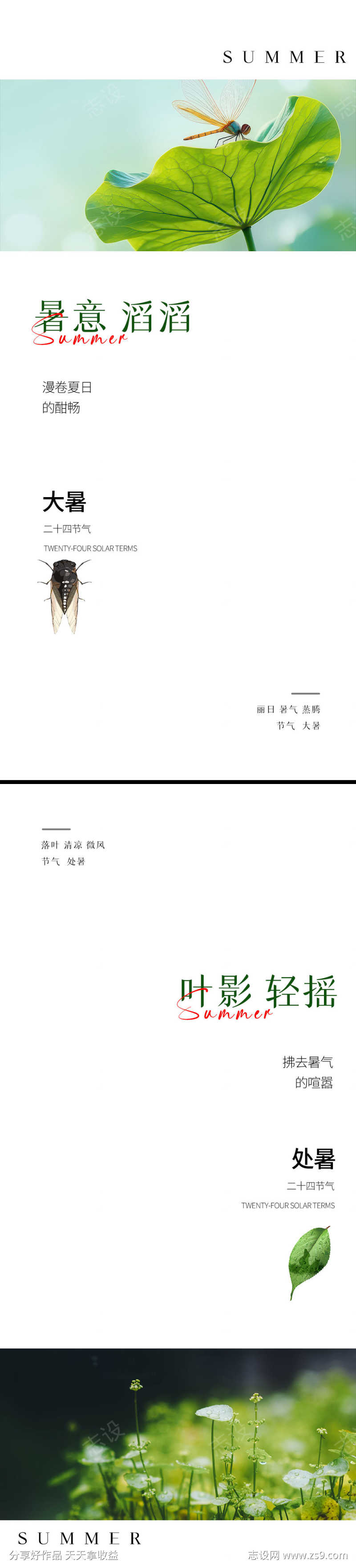 大暑处暑节气海报