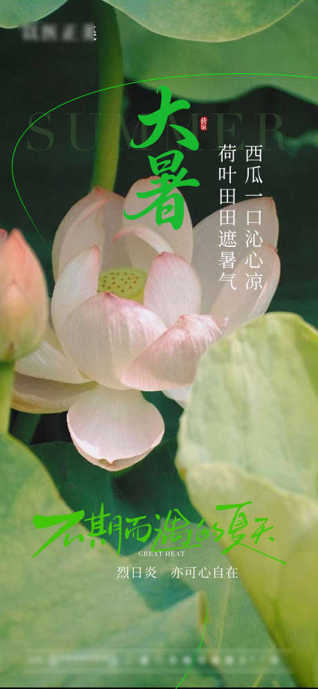 大暑节气海报_源文件下载_PSD格式_1080X2338像素-荷花,节气,大暑-作品编号:2025071009043447-志设-zs9.com