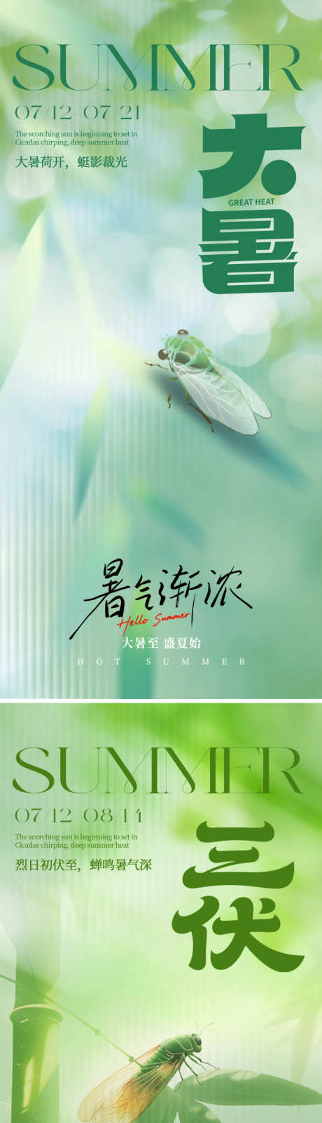 三伏大暑节日海报_源文件下载_PSD格式_750X3248像素-清新,蝉,三伏天-作品编号:2025071113337606-志设-zs9.com
