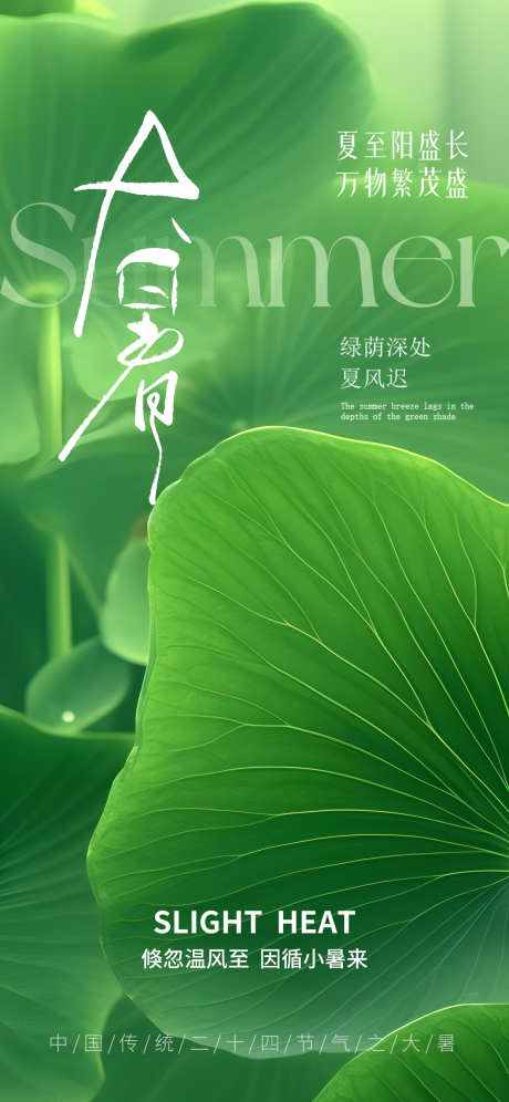 大暑处暑节气海报_源文件下载_PSD格式_1242X2688像素-海报,初伏,中伏-作品编号:2025071114319845-志设-zs9.com