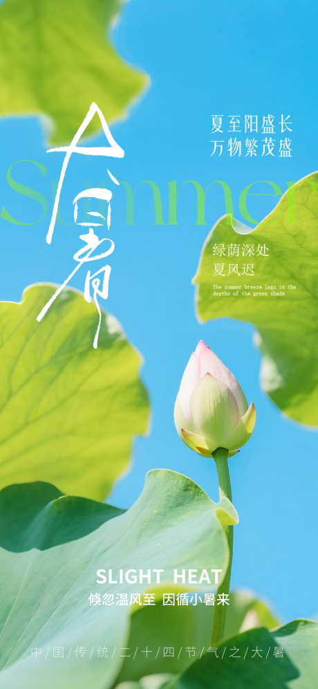 大暑节气海报_源文件下载_PSD格式_1242X2688像素-海报,初伏,中伏-作品编号:2025071114379218-志设-zs9.com