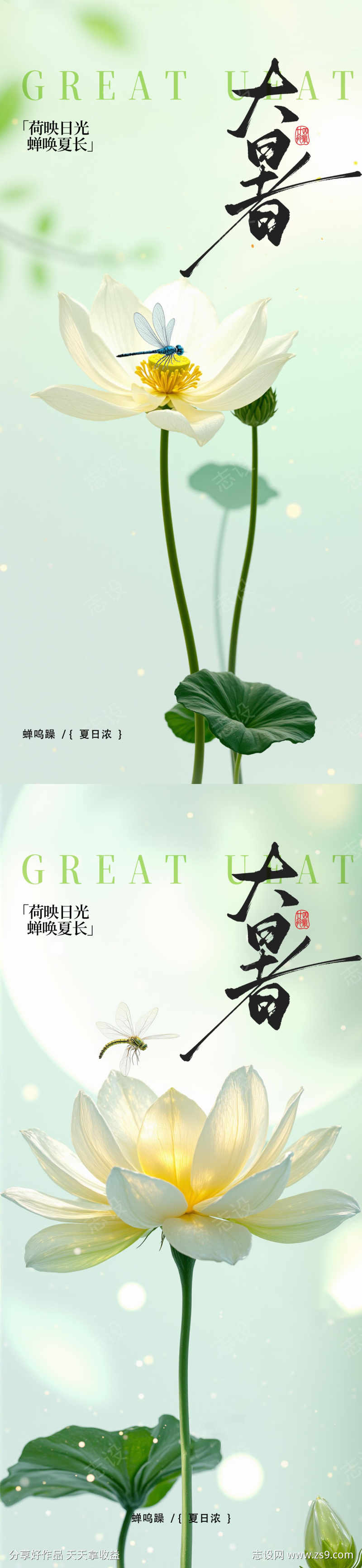 大暑节气节日海报