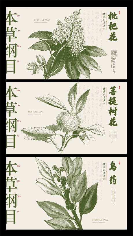 本草纲目中药展板_源文件下载_AI格式_2868X5089像素-广告展板,本草纲目,枇杷花-作品编号:2025071101641031-志‘设ˈ̹网