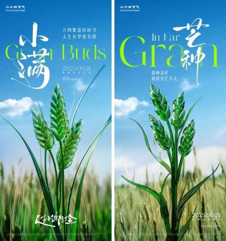 小满芒种节气海报_源文件下载_CDR格式_2000X4330像素-水稻,小麦,二十四节气-作品编号:2025071416538379-志设-zs9.com
