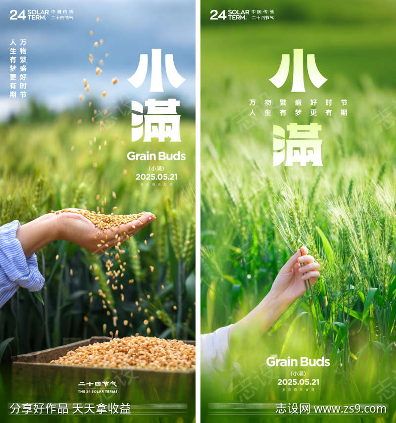 小满节气创意海报
