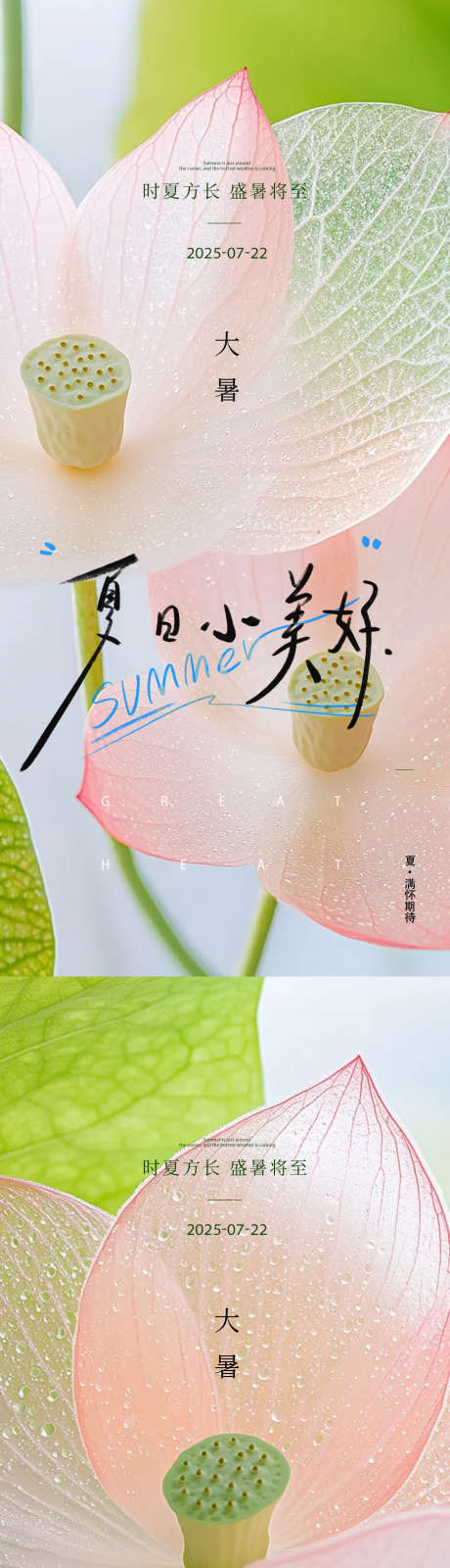 荷叶荷包大暑24节气极简海报_源文件下载_PSD格式_930X4030像素-花朵,荷包,荷叶-作品编号:2025071511381334-志`设·网