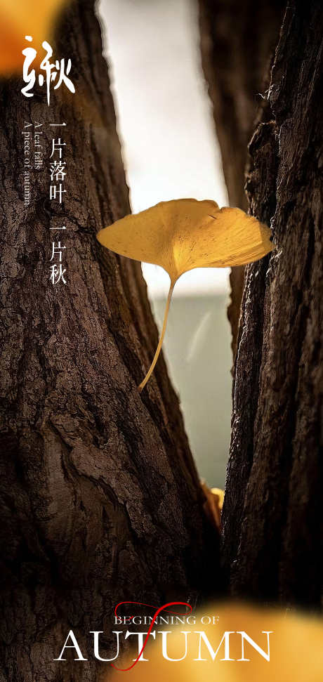 立秋宣传海报_源文件下载_PSD格式_2126X4488像素-秋季,大树,近景-作品编号:2025071614566751-志设-zs9.com