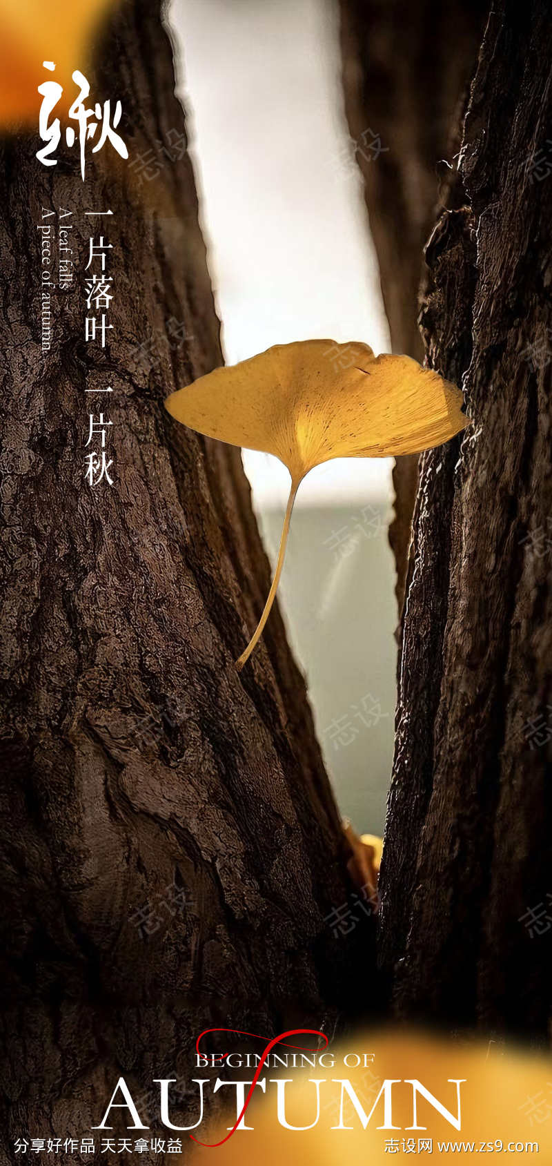 立秋宣传海报