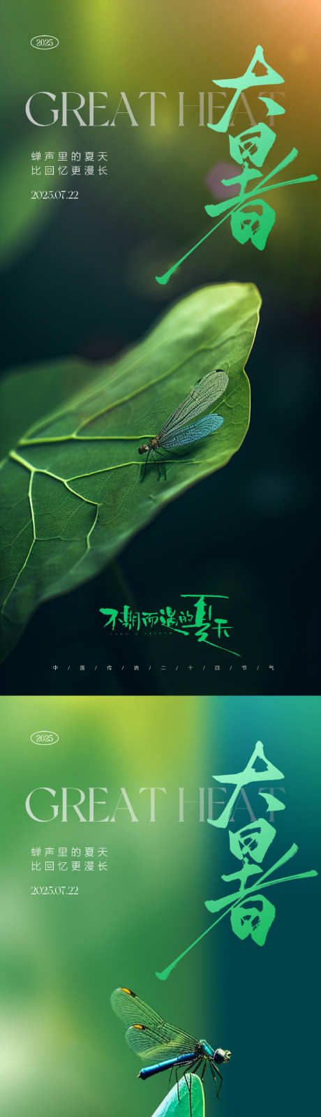 大暑节气海报_源文件下载_PSD格式_1153X4996像素-蜻蜓,夏日,意境-作品编号:2025071708366924-志设-zs9.com