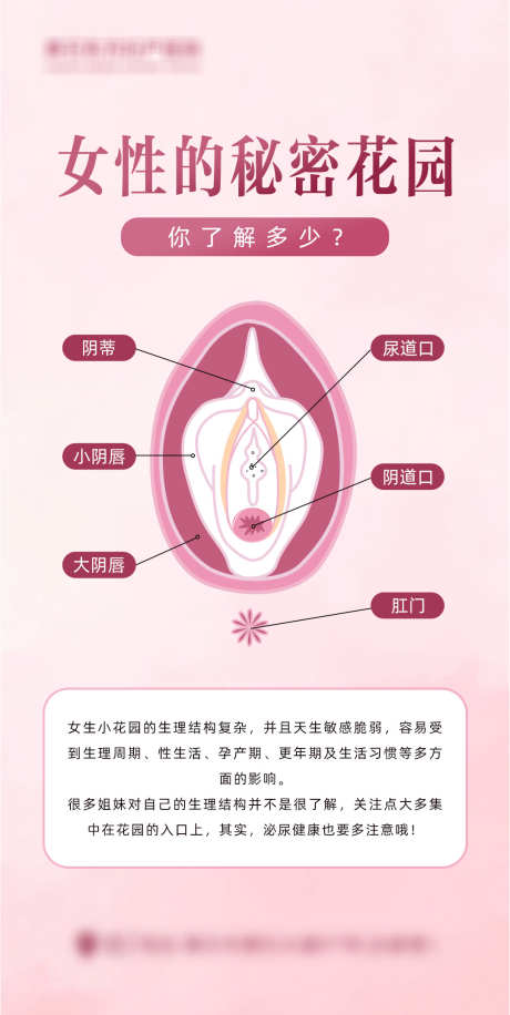 女性秘密花园_源文件下载_PSD格式_1080X2151像素-私密,健康,女性-作品编号:2025071709285924-志设-zs9.com