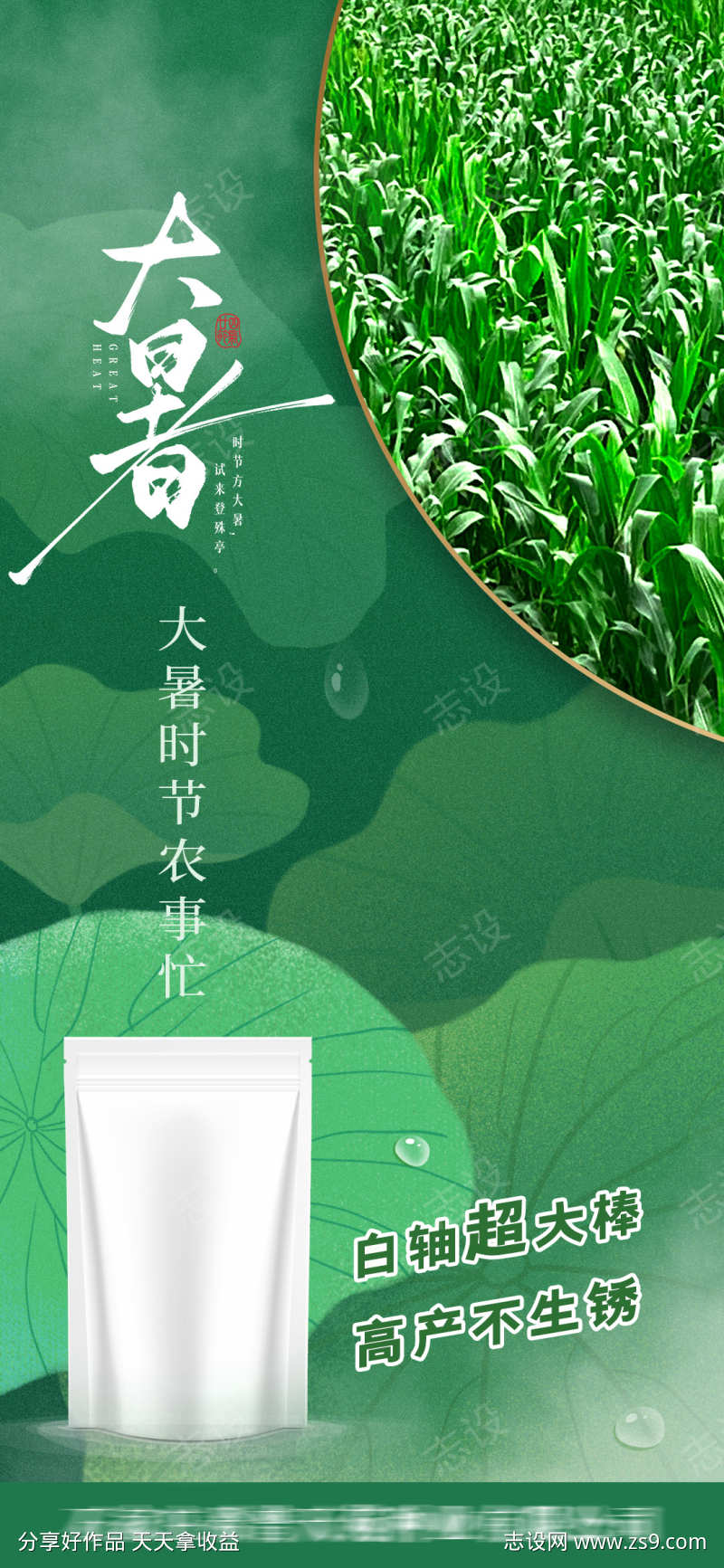 大暑节气海报