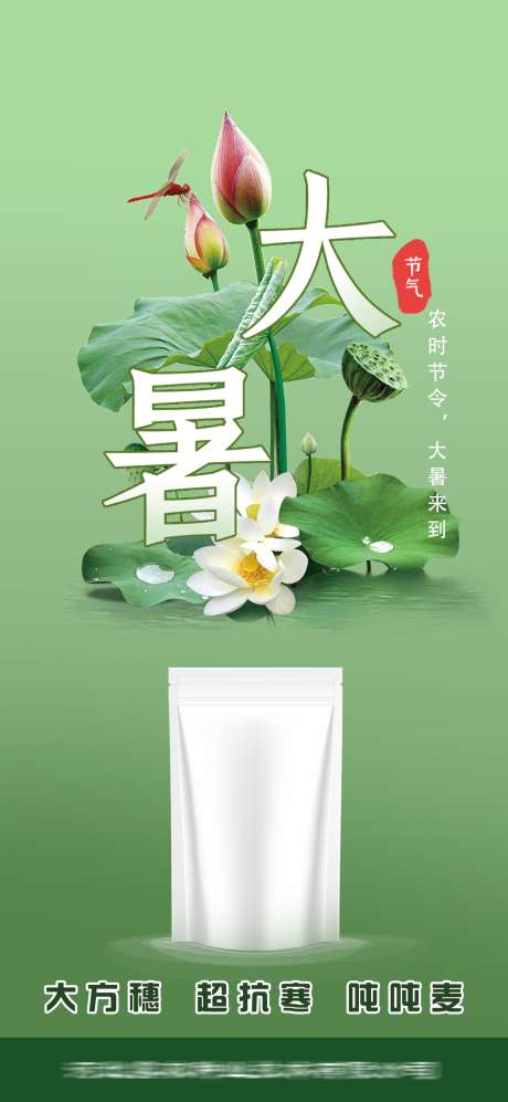 大暑节气海报_源文件下载_PSD格式_1080X2340像素-夏天,荷花,荷叶-作品编号:2025071613558972-志设-zs9.com