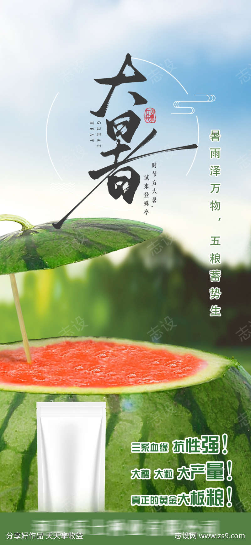 大暑节气海报